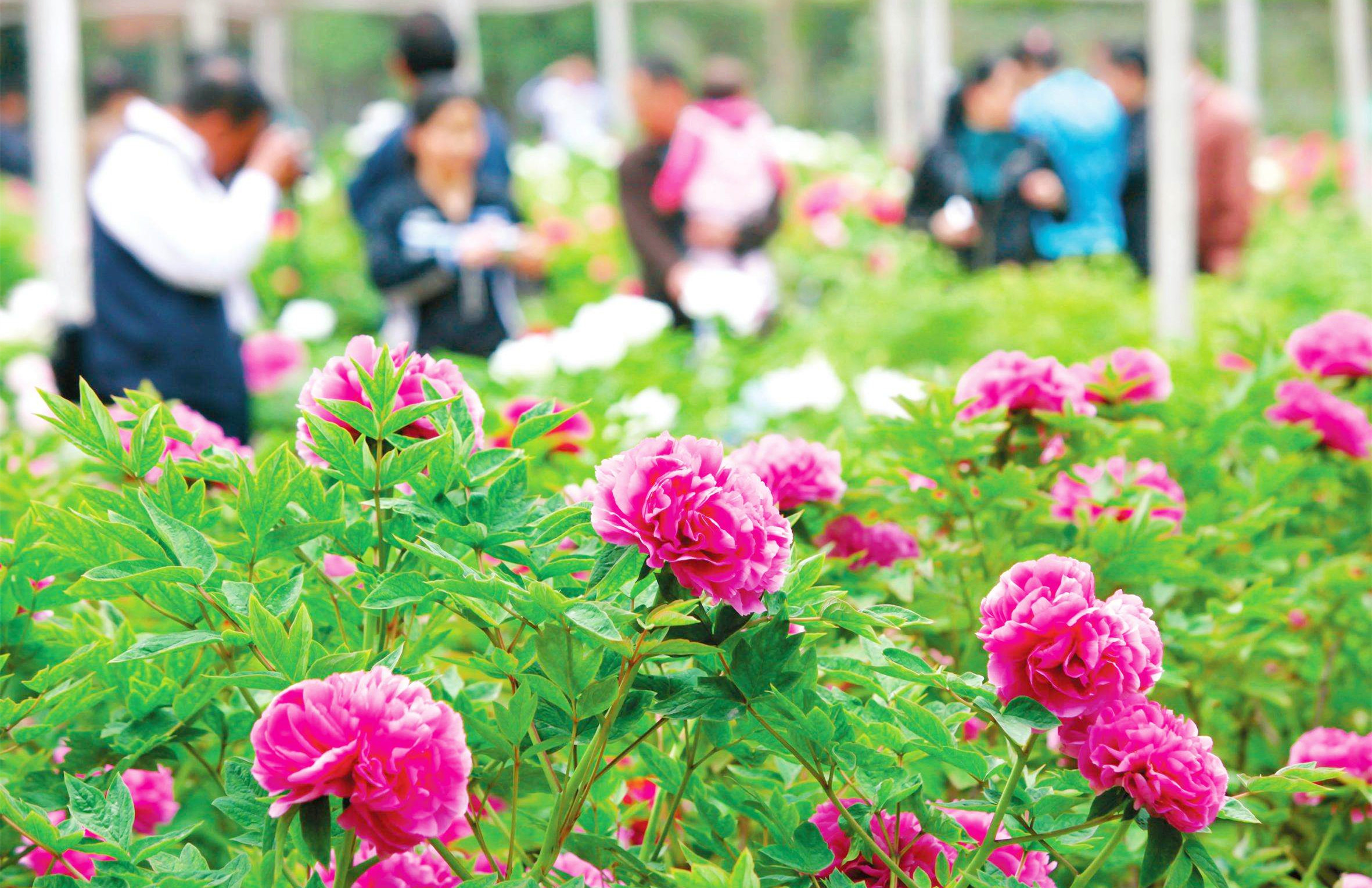 1554272637631071.jpg timg (1).jpg